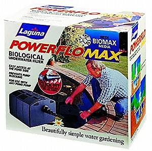 ����� ����� ����� +������ ����� 