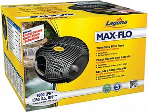 ����� ����� 5000 �"� ����� 