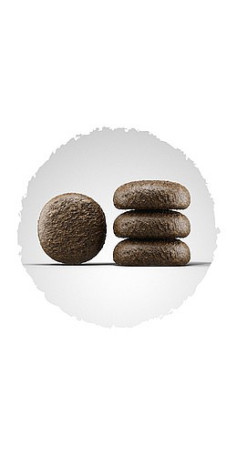 ����� ��� ���� ����� ������  15 �"�