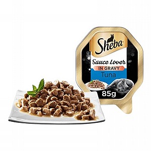 ���� ���� ����� ���� ����� 85 ���