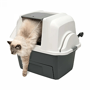 ������� ����� ���� ����� 