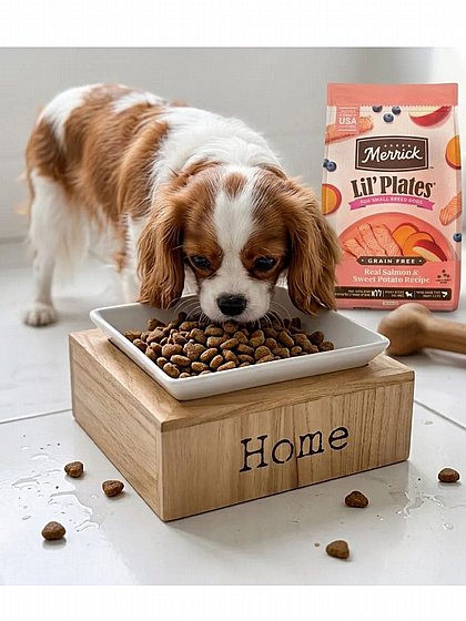 ���� ������ ������� ��� ���� Merrick ����� Lil Plates ��� �.��� ����� ��� ����� 5.44 ��