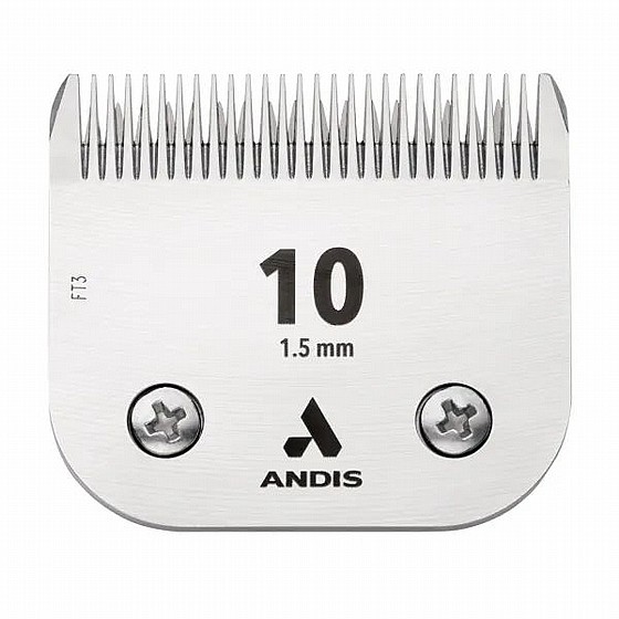 ���� ����� 10 1 ����� 