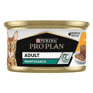 ����� ������ ���� ��� ��� ���� 85 ��� 