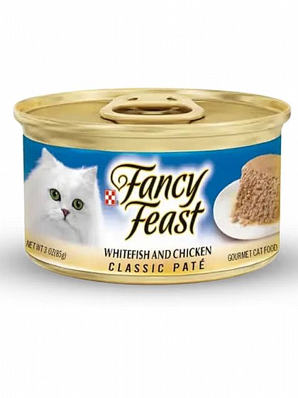 ���� 12 �"� ���� �� ���� Fancy Feast ����� ��� �� ���, ��� �������