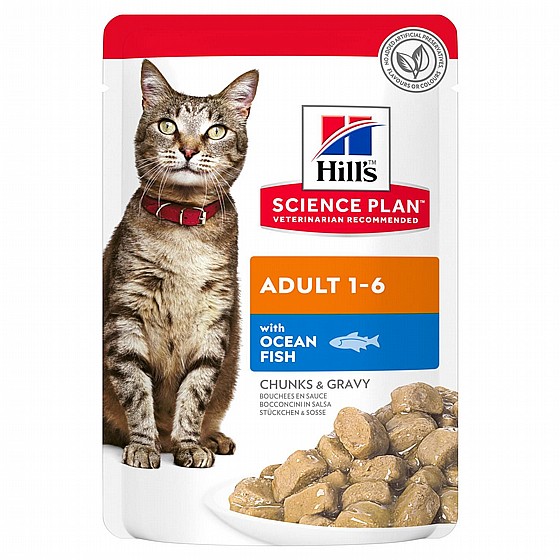 ���� Hills ����� ���� ���� ����� 85 ���