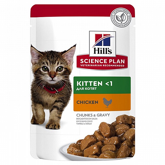 ���� Hills ����� ���� ��� ����� 85 ���