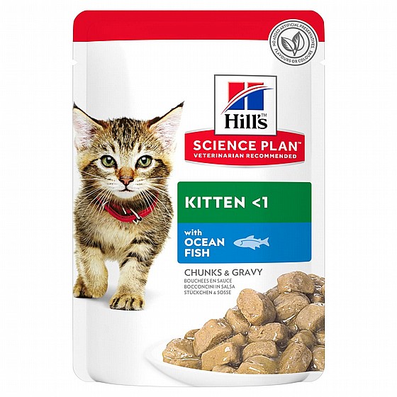 ���� Hills ����� ���� ���� ����� 85 ���