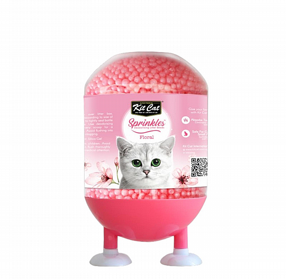 �������� Kit Cat ���� ������ ������ �����