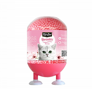 �������� Kit Cat ���� ������ ������ �����