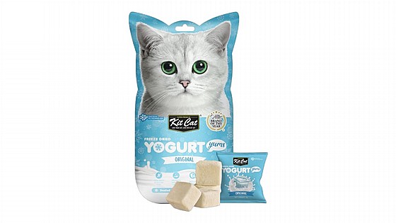 ���� Kit Cat ����� ������ ������� 10 ���