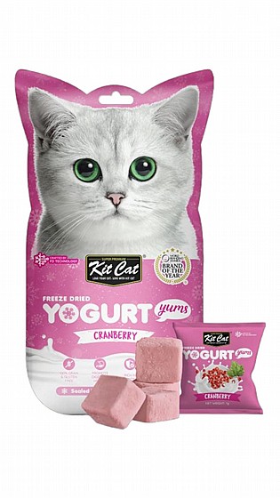 ���� Kit Cat ����� ������ �������� 10 ���