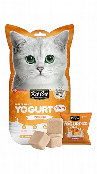 ���� Kit Cat ����� ������ ����� 10 ���