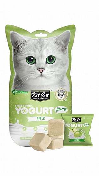 ���� Kit Cat ����� ������ ����� 10 ���