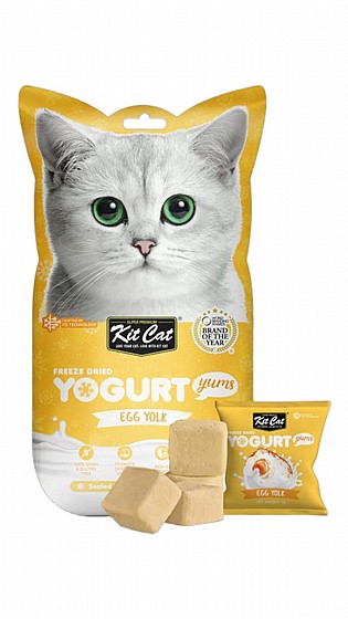 ���� Kit Cat ����� ������ ������ ���� 10 ���