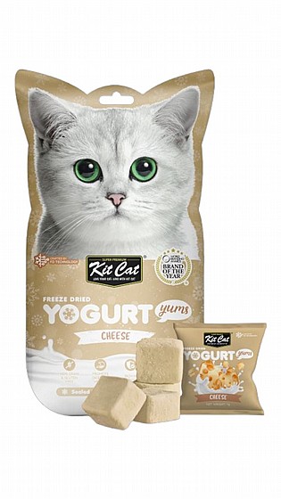 ���� Kit Cat ����� ������ ����� 10 ���