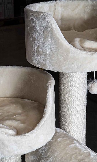 KINGS & QUEENS VICTORIA 125 CREAM