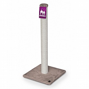 LITTLE REBELS MAINE 90 CAPPUCCINO