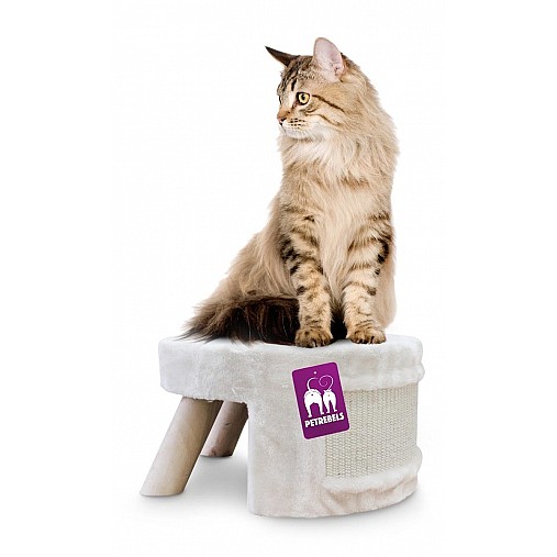 LITTLE REBELS PASSADENA 40 CREAM