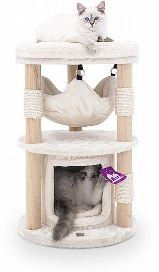 ���� ����� LITTLE REBELS TAMPA 70 CREAM