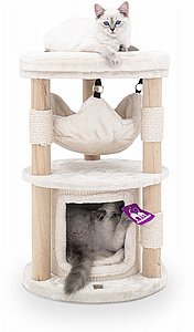 ���� ����� LITTLE REBELS TAMPA 70 CREAM