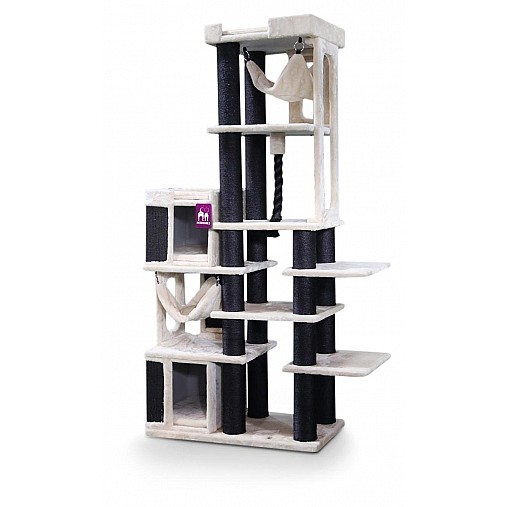 LUCKY BASTARDS AVENUE 205 CREAM 1/3