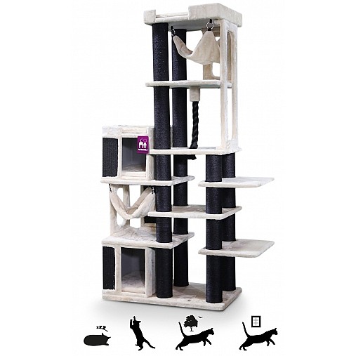 LUCKY BASTARDS AVENUE 205 CREAM 1/3