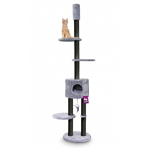KINGS & QUEENS ANNA 240 GREY
