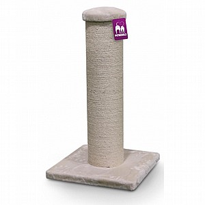 THE REBELS SAVANNAH 86 CREAM