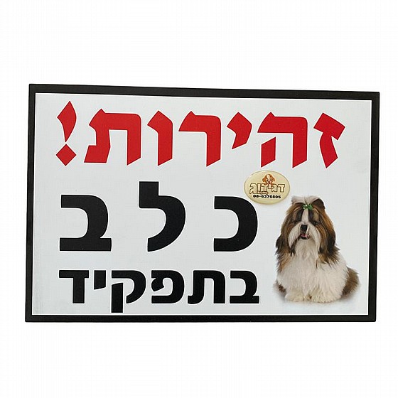 ��� ������ ���� ����