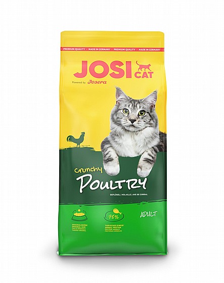 ���� �� Josicat - ���� ������ ���� ��� 18 �"�