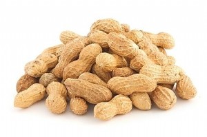 ������ 500 ��� ���� �����