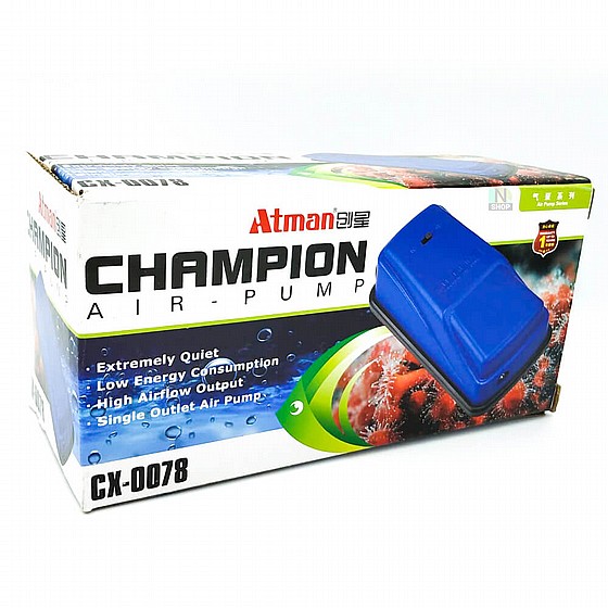 ����� ���� 0078 Champion