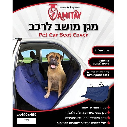 ��� ����� �����