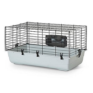 ���� ������ ������ 80 �"�