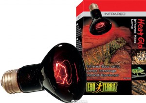 ����� ������-���� 50W �������