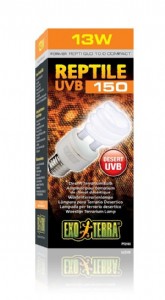 ����� ������ 10 ����13