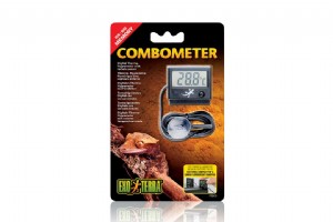 �� ����� ���+���� �������