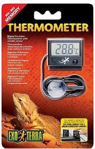 �� ��� �������� �������