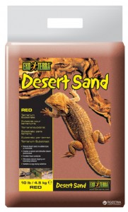 ��� ������� ������ ����