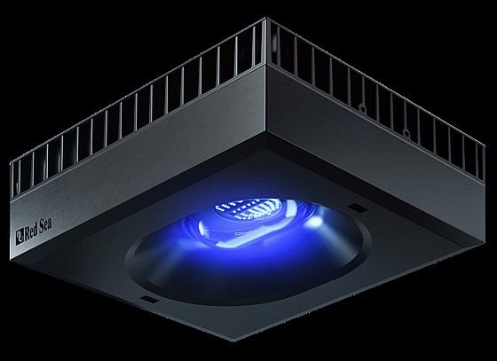 ����� �� 160 ���� - �� ��