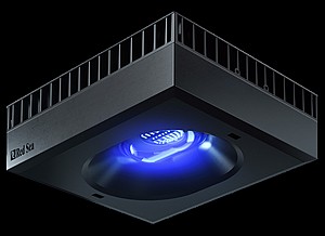 ����� �� 160 ���� - �� ��