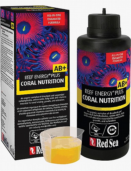 ��� ����� +AB