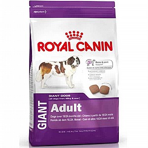 �'���� �����