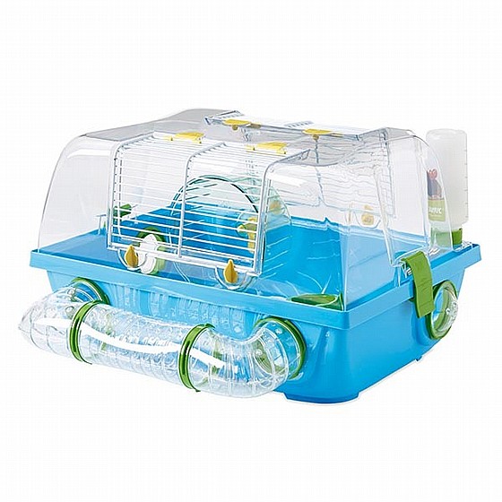 ���� ���� ����� ����