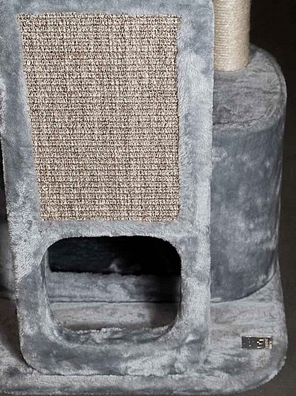 LITTLE REBELS LITTLE ROCK 99 GREY