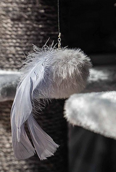 MORE FUNKY REBELS 2PCS GREY  ���� ���� ����� ����