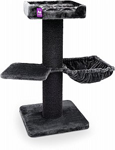 THE REBELS MAINE COON 117 PEPPER