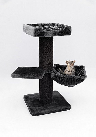 ���� ����� ����� ������� ������ Petrebels Maine Coon 117 - ����, ���� 117 �"�