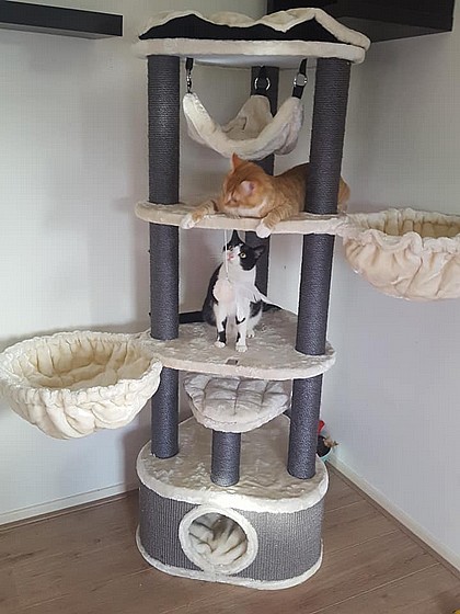 KINGS & QUEENS CATHARINA 160 CREAM 1/2